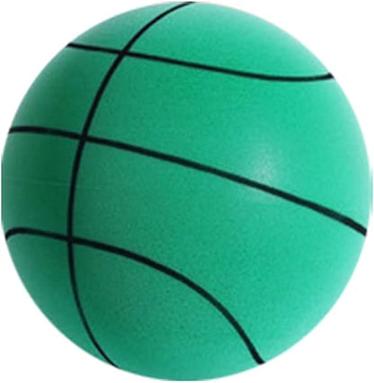 EGE Silent Basketball